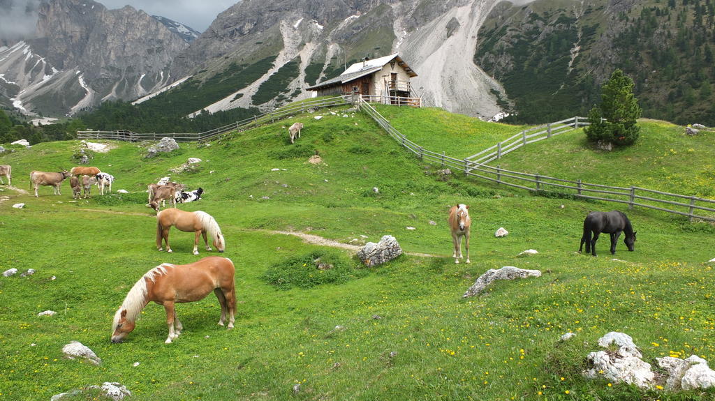 Garni Le Chalet Santa Cristina Val Gardena Εξωτερικό φωτογραφία