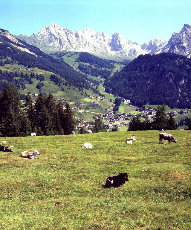 Garni Le Chalet Santa Cristina Val Gardena Εξωτερικό φωτογραφία