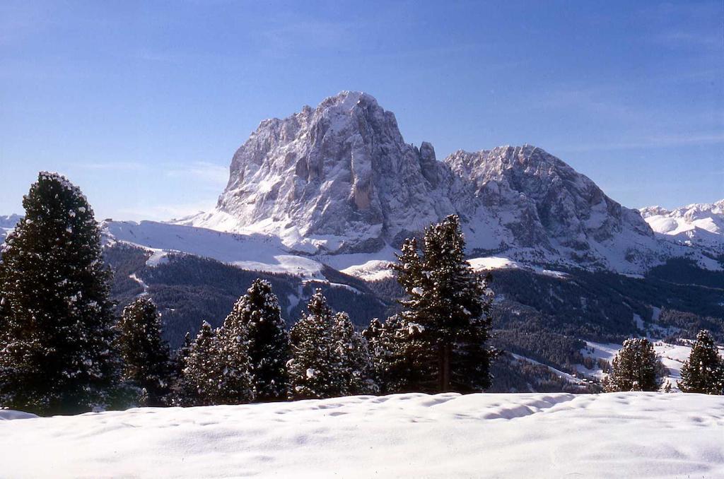 Garni Le Chalet Santa Cristina Val Gardena Εξωτερικό φωτογραφία