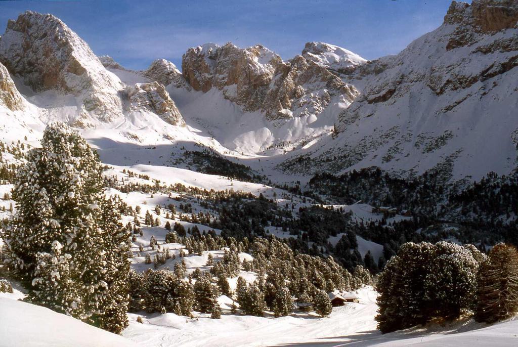 Garni Le Chalet Santa Cristina Val Gardena Εξωτερικό φωτογραφία