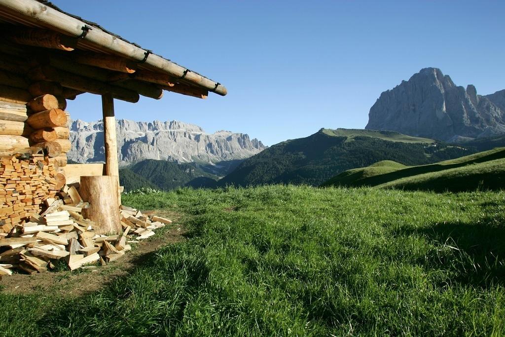 Garni Le Chalet Santa Cristina Val Gardena Εξωτερικό φωτογραφία
